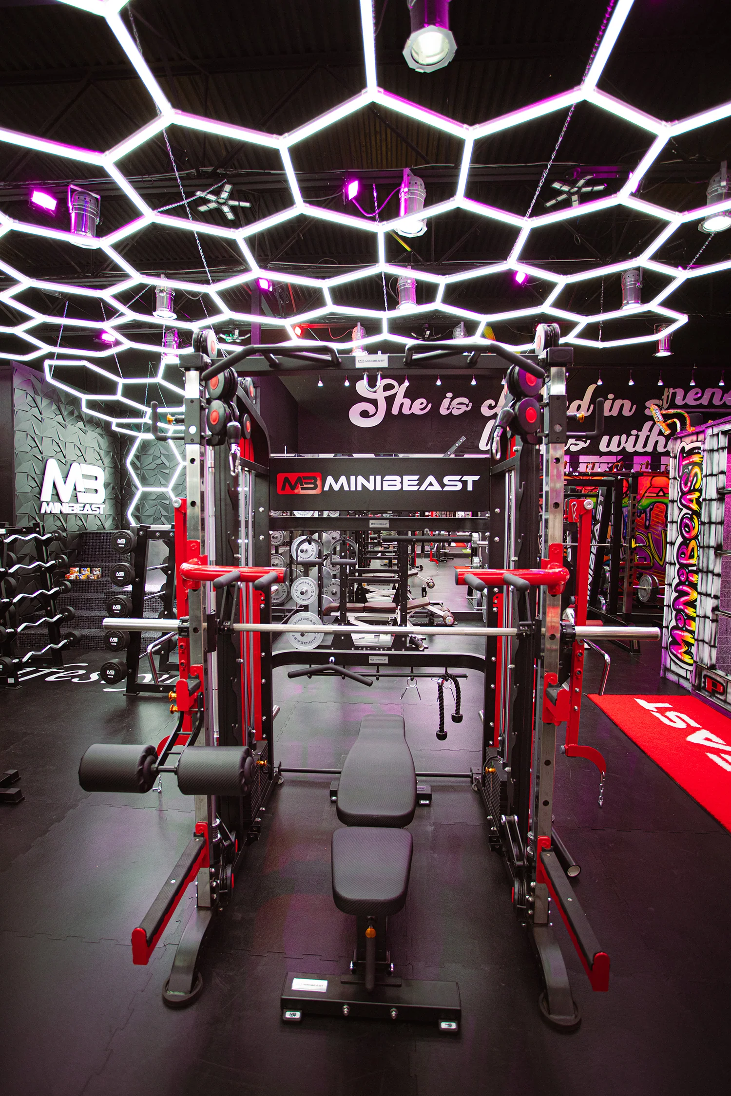 MB Ultimate ALL-IN-1 Total Home Gym - Image 6